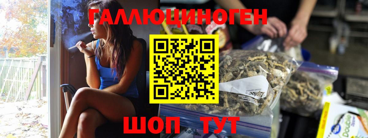 Корсаков  Галлюциногенные грибы Psilocybe  Вход с VPN 